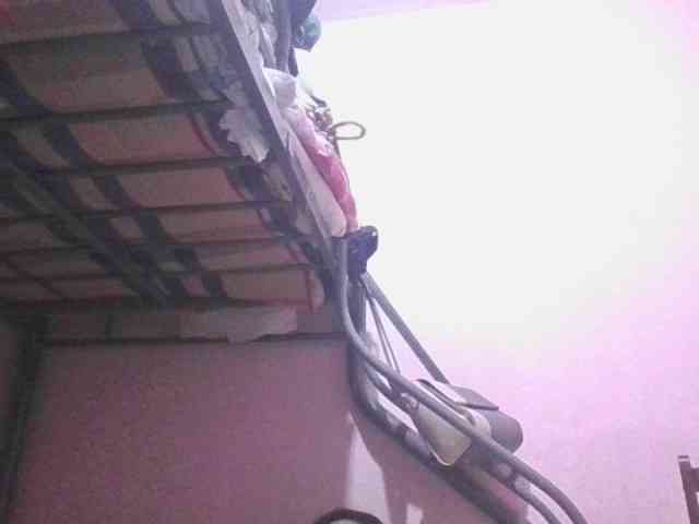 sungjoy08 webcam