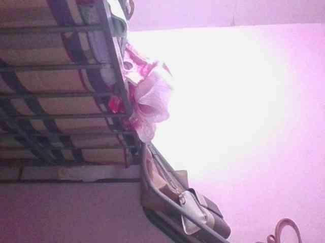 sungjoy08 webcam