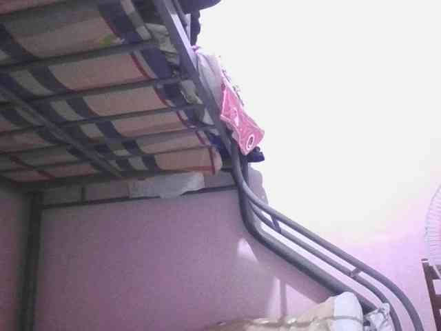 sungjoy08 webcam