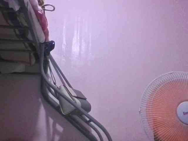 sungjoy08 webcam