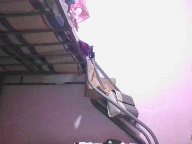 sungjoy08 webcam