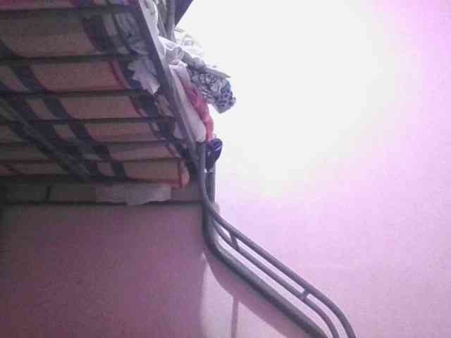 sungjoy08 webcam