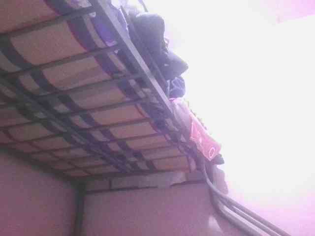 sungjoy08 webcam