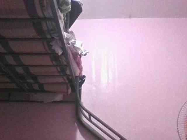 sungjoy08 webcam