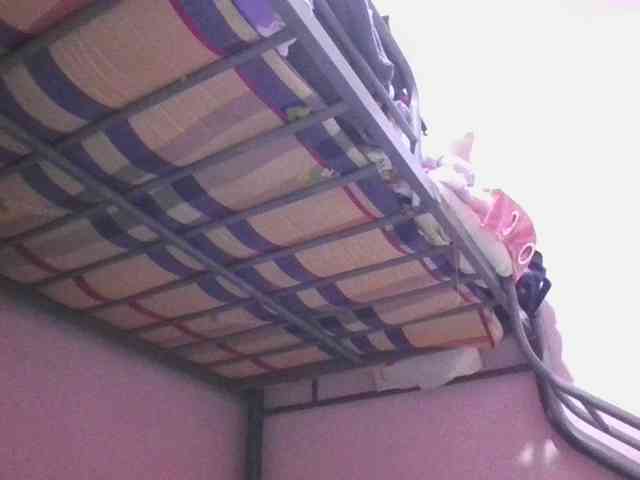 sungjoy08 webcam