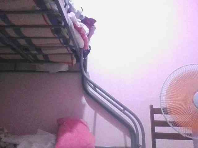 sungjoy08 webcam