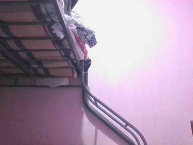 sungjoy08 webcam