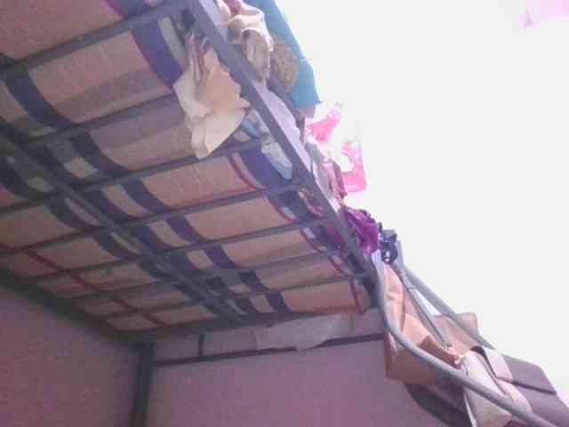 sungjoy08 webcam