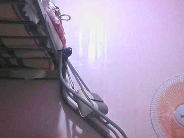 sungjoy08 webcam