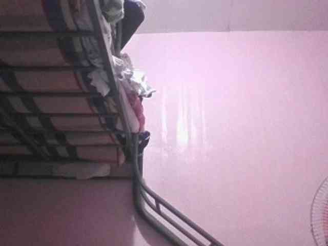 sungjoy08 webcam
