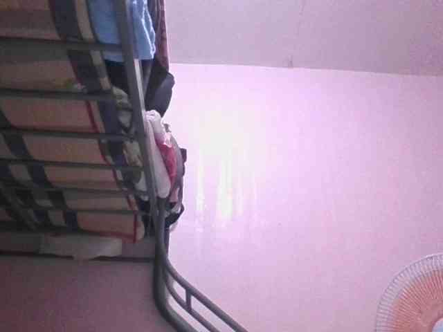 sungjoy08 webcam