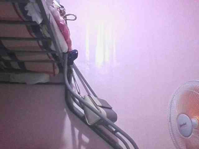 sungjoy08 webcam