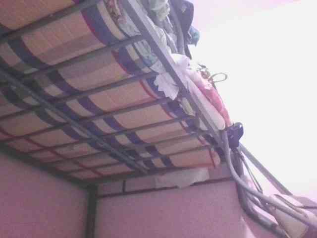 sungjoy08 webcam