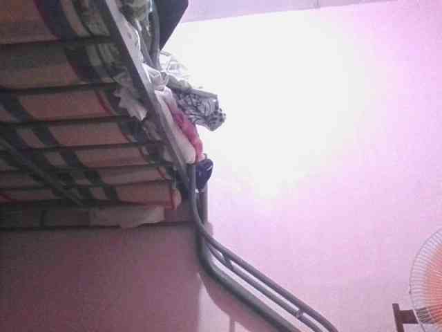 sungjoy08 webcam