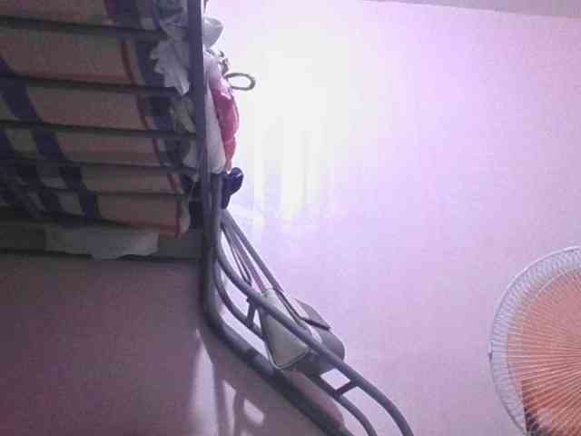 sungjoy08 webcam