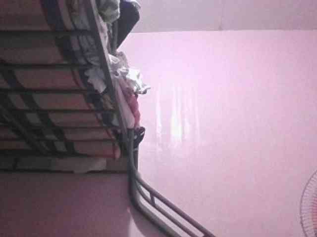 sungjoy08 webcam