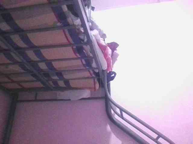sungjoy08 webcam