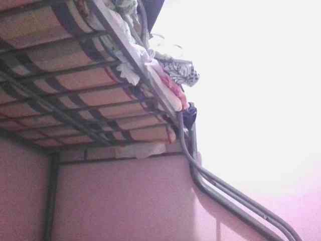 sungjoy08 webcam