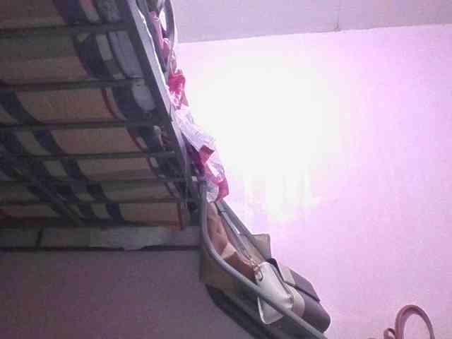 sungjoy08 webcam