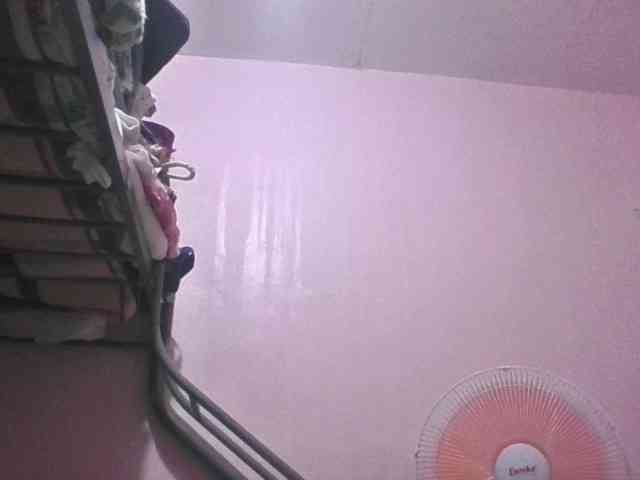 sungjoy08 webcam