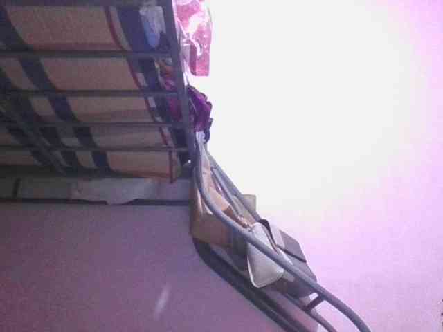 sungjoy08 webcam