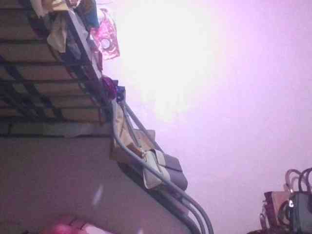 sungjoy08 webcam