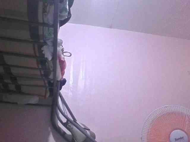sungjoy08 webcam