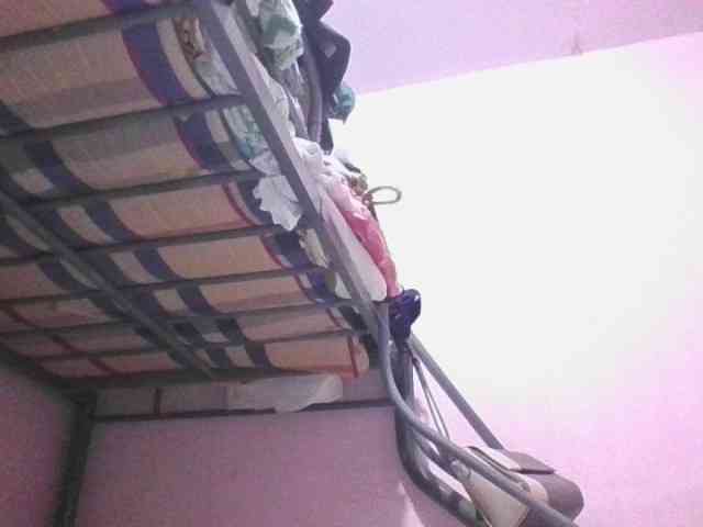 sungjoy08 webcam