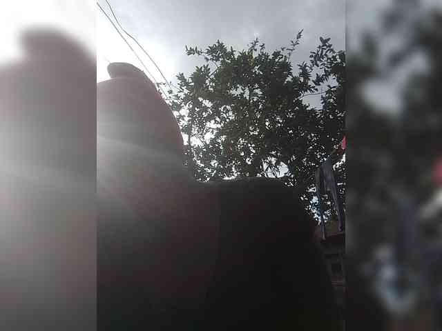 bigcaunts webcam