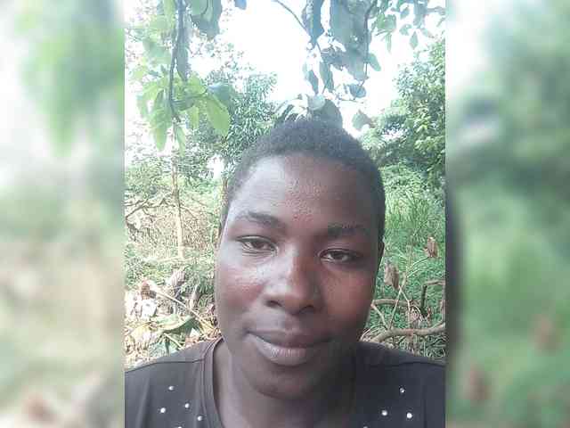 Model: bigcaunts
