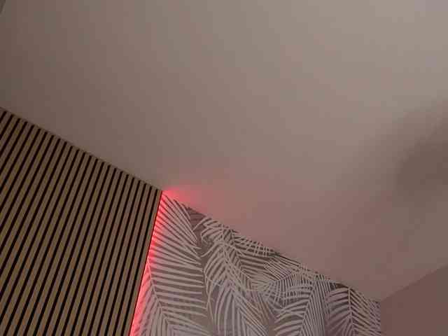 kimmblaze webcam