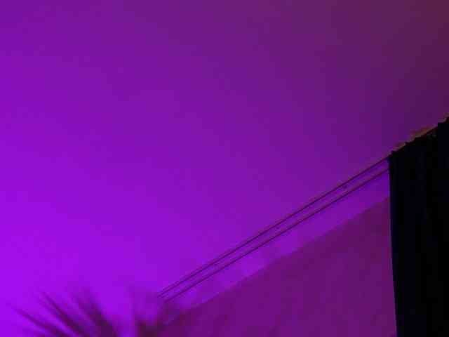 kimmblaze webcam