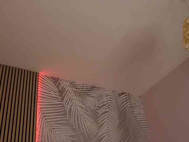 kimmblaze webcam