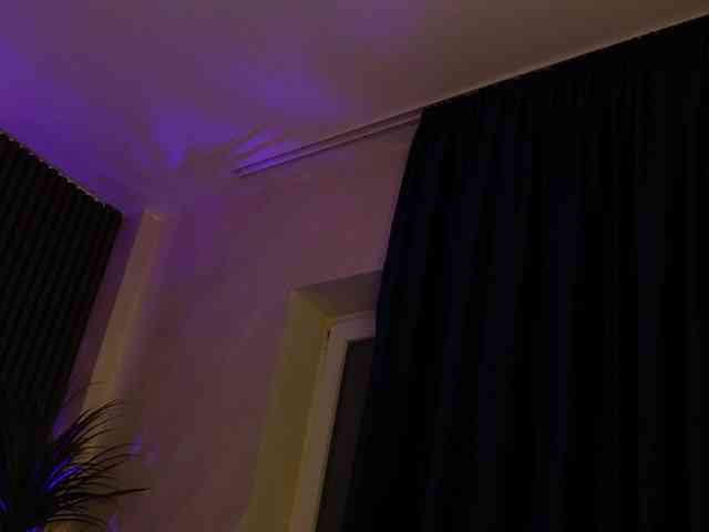 kimmblaze webcam