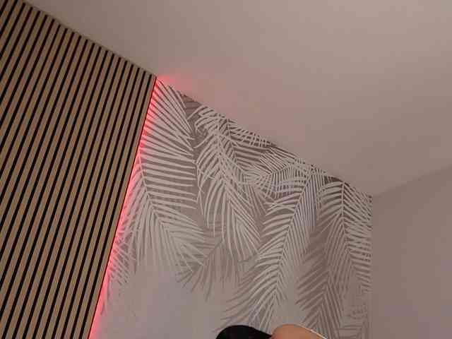 kimmblaze webcam