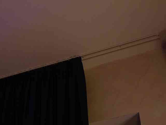 kimmblaze webcam