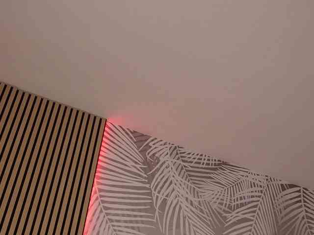 kimmblaze webcam