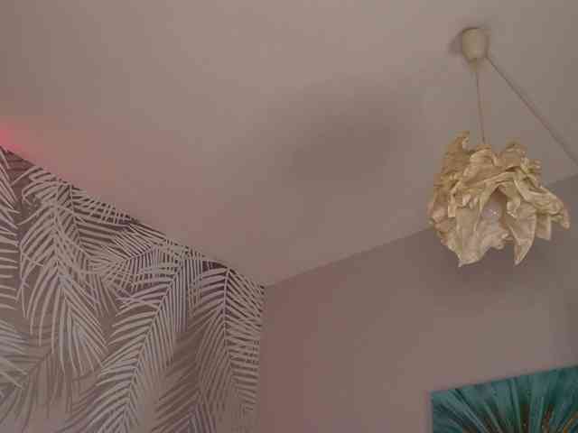 kimmblaze webcam