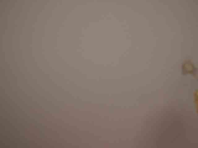 kimmblaze webcam