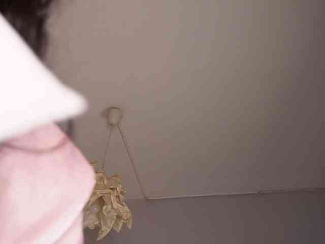 kimmblaze webcam