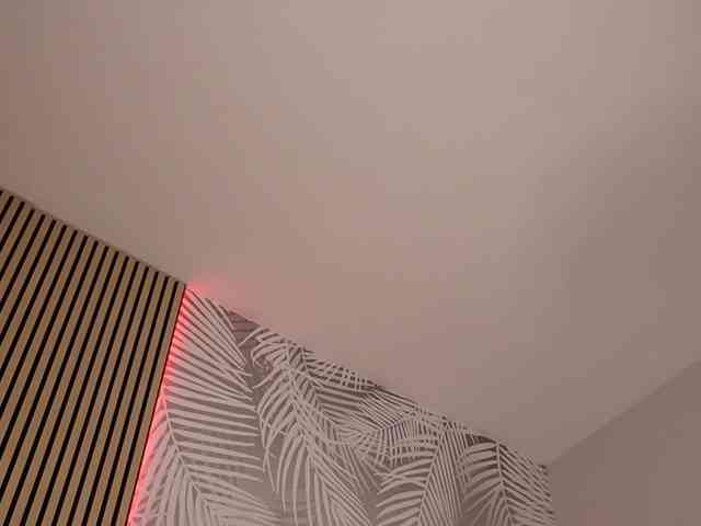 kimmblaze webcam