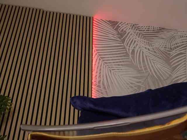 kimmblaze webcam
