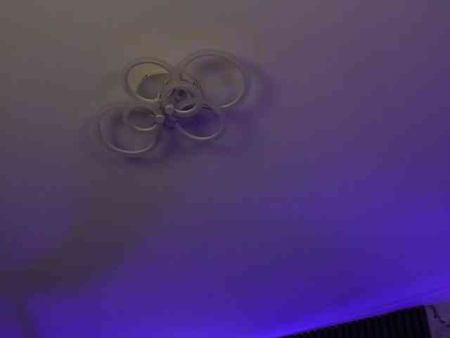 kimmblaze webcam
