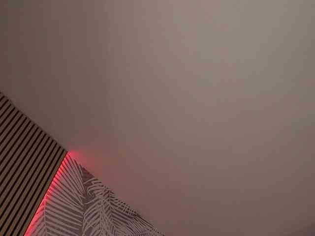 kimmblaze webcam