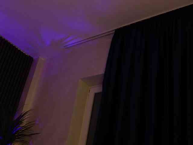 kimmblaze webcam
