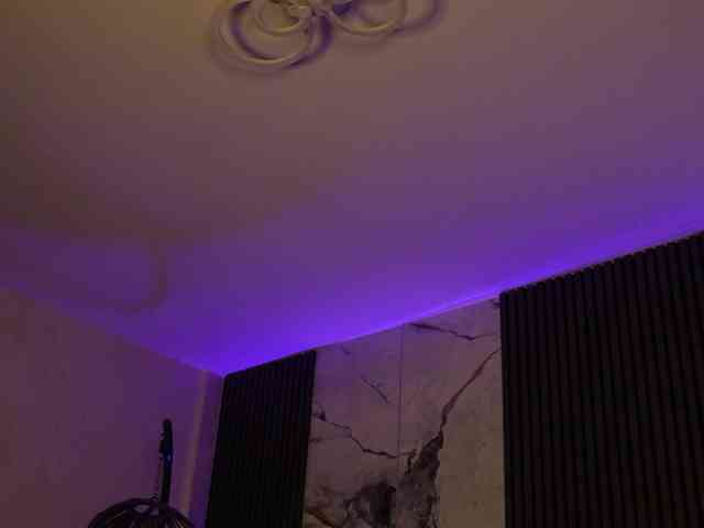 kimmblaze webcam