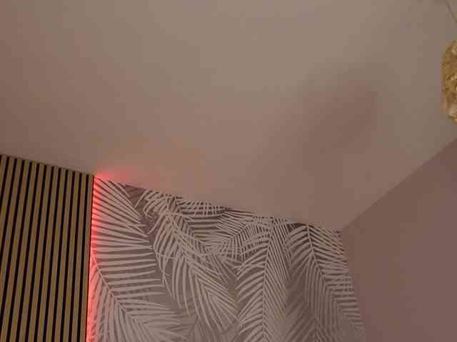 kimmblaze webcam