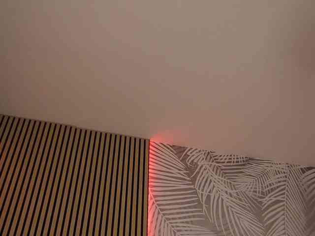 kimmblaze webcam