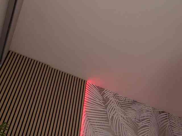 kimmblaze webcam