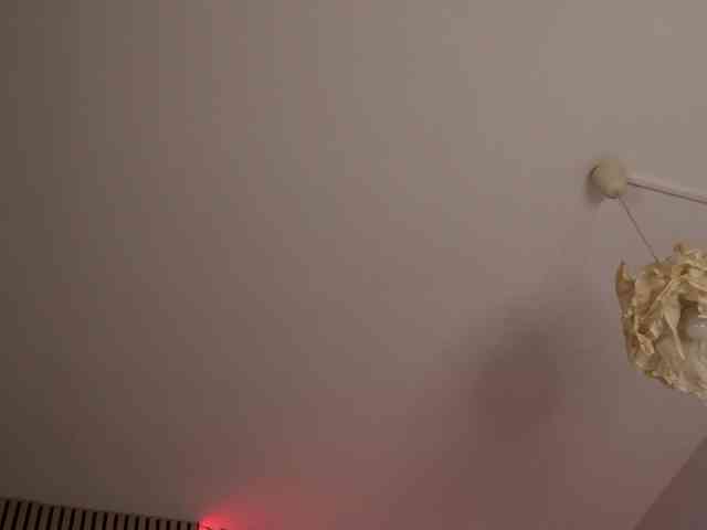 kimmblaze webcam